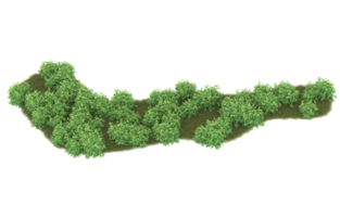 Realistic foliage isolated on transparent background. 3d rendering - illustration png