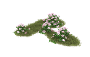 Realistic foliage isolated on transparent background. 3d rendering - illustration png