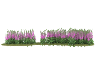 Realistic foliage isolated on transparent background. 3d rendering - illustration png