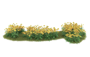 Realistic foliage isolated on transparent background. 3d rendering - illustration png