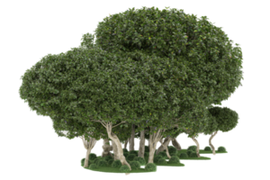 Realistic forest isolated on transparent background. 3d rendering - illustration png