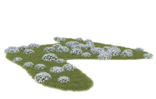 Realistic foliage isolated on transparent background. 3d rendering - illustration png