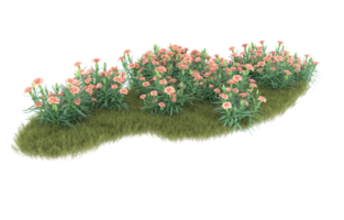 Realistic foliage isolated on transparent background. 3d rendering - illustration png