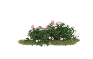 Realistic foliage isolated on transparent background. 3d rendering - illustration png