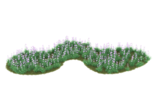 Realistic foliage isolated on transparent background. 3d rendering - illustration png