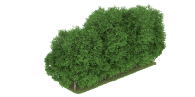 Realistic forest isolated on transparent background. 3d rendering - illustration png