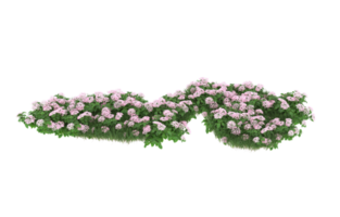 Realistic foliage isolated on transparent background. 3d rendering - illustration png