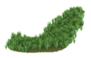 Realistic foliage isolated on transparent background. 3d rendering - illustration png