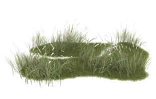 Realistic foliage isolated on transparent background. 3d rendering - illustration png