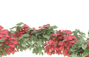 Realistic foliage isolated on transparent background. 3d rendering - illustration png