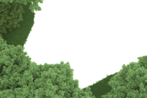 forêt réaliste isolée sur fond transparent. rendu 3d - illustration png