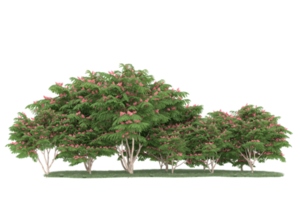 Realistic forest isolated on transparent background. 3d rendering - illustration png