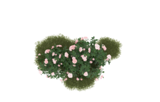 Realistic foliage isolated on transparent background. 3d rendering - illustration png