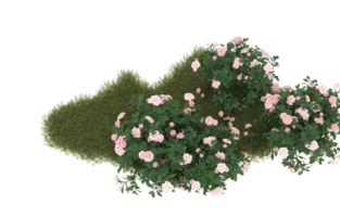 Realistic foliage isolated on transparent background. 3d rendering - illustration png