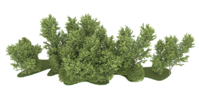 Realistic forest isolated on transparent background. 3d rendering - illustration png