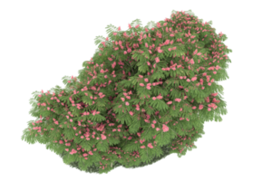 Realistic forest isolated on transparent background. 3d rendering - illustration png
