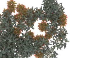 Realistic foliage isolated on transparent background. 3d rendering - illustration png