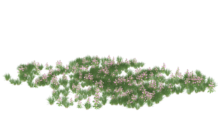 Realistic foliage isolated on transparent background. 3d rendering - illustration png