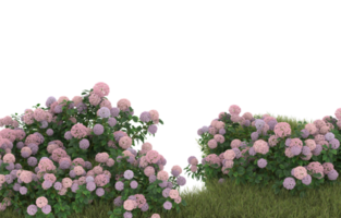 Realistic foliage isolated on transparent background. 3d rendering - illustration png