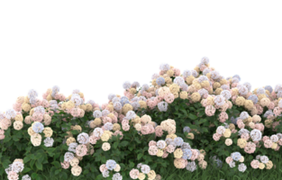 Realistic foliage isolated on transparent background. 3d rendering - illustration png