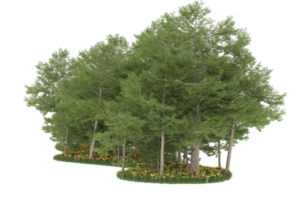 Realistic forest isolated on transparent background. 3d rendering - illustration png