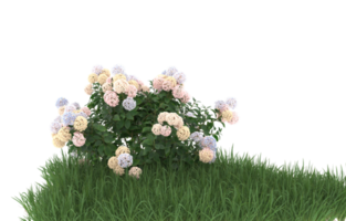 Realistic foliage isolated on transparent background. 3d rendering - illustration png