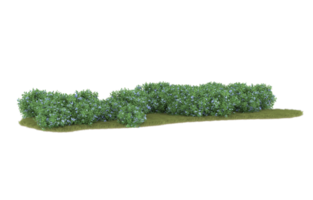 Realistic foliage isolated on transparent background. 3d rendering - illustration png