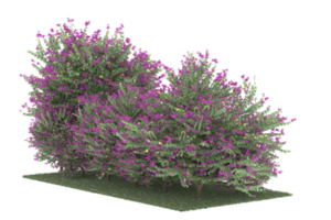 Realistic forest isolated on transparent background. 3d rendering - illustration png