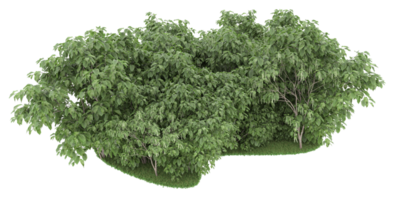 forêt réaliste isolée sur fond transparent. rendu 3d - illustration png