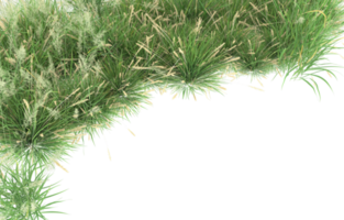 Realistic foliage isolated on transparent background. 3d rendering - illustration png