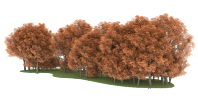 forêt réaliste isolée sur fond transparent. rendu 3d - illustration png