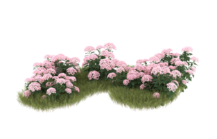 Realistic foliage isolated on transparent background. 3d rendering - illustration png