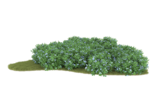 Realistic foliage isolated on transparent background. 3d rendering - illustration png