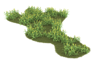 Realistic foliage isolated on transparent background. 3d rendering - illustration png