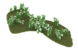 Realistic foliage isolated on transparent background. 3d rendering - illustration png