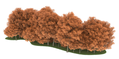 floresta realista isolada em fundo transparente. renderização 3D - ilustração png