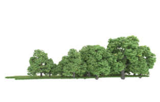 forêt réaliste isolée sur fond transparent. rendu 3d - illustration png