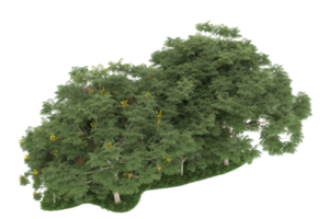 realistischer wald lokalisiert auf transparentem hintergrund. 3D-Rendering - Abbildung png