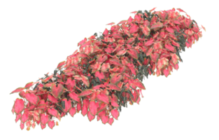 Realistic foliage isolated on transparent background. 3d rendering - illustration png