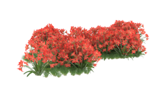 Realistic foliage isolated on transparent background. 3d rendering - illustration png