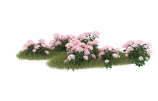 Realistic foliage isolated on transparent background. 3d rendering - illustration png