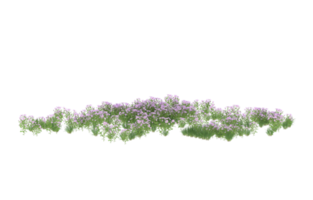 Realistic foliage isolated on transparent background. 3d rendering - illustration png