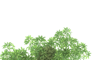 Realistic foliage isolated on transparent background. 3d rendering - illustration png