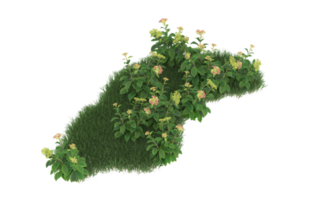 Realistic foliage isolated on transparent background. 3d rendering - illustration png