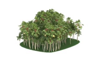 palm bomen geïsoleerd Aan transparant achtergrond. 3d renderen - illustratie png