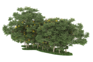 forêt réaliste isolée sur fond transparent. rendu 3d - illustration png