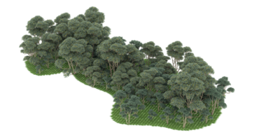 realistico foresta isolato su trasparente sfondo. 3d interpretazione - illustrazione png