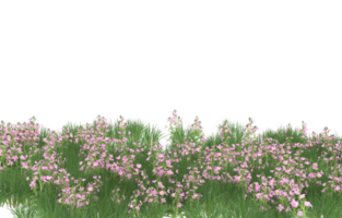 Realistic foliage isolated on transparent background. 3d rendering - illustration png