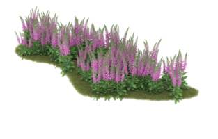 Realistic foliage isolated on transparent background. 3d rendering - illustration png