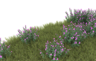Realistic foliage isolated on transparent background. 3d rendering - illustration png